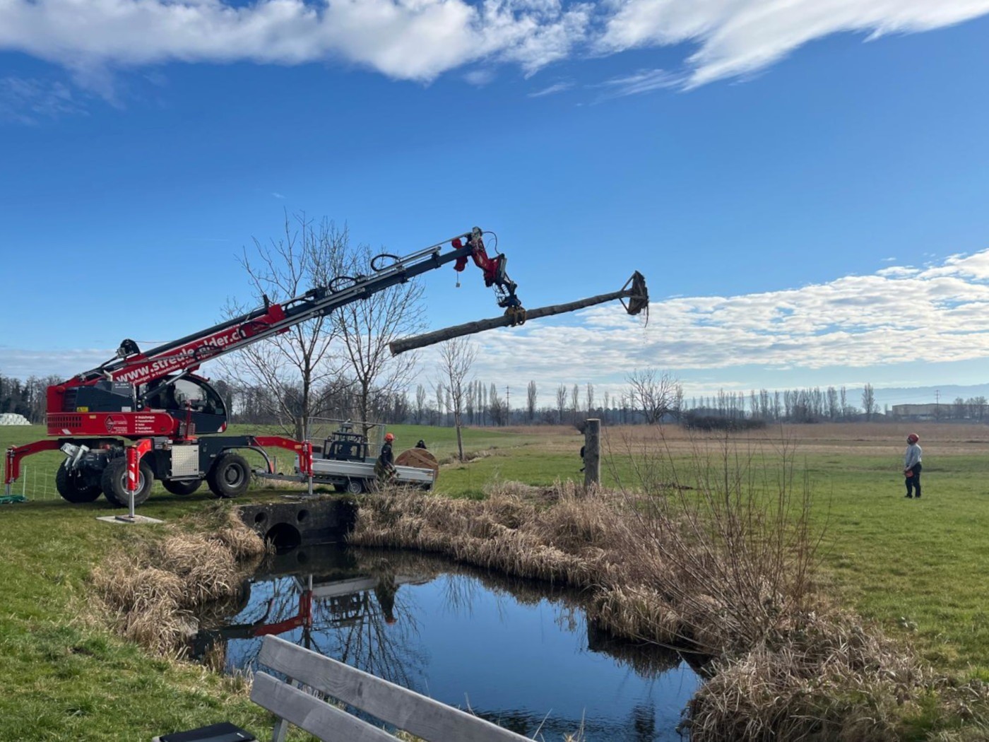 20250320 Storch 02.jpg